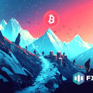 Why FXGuys Is Becoming a Go-To Investment for Bitcoin Holders Seeking Higher Returns