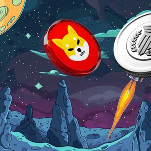 Shiba Inu (SHIB) Millionaire Bets $0.25 Million On This ETH-Based Altcoin, Predicting 17,500% Run Soon