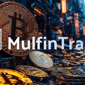 MulfinTrade Develops Its Services for Clients’ Success