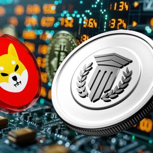 Insiders Who Attained 100x Returns With Ripple (XRP) in 2017 And Shiba Inu (SHIB) in 2021 Have A New Favorite Token, Recent Data Shows