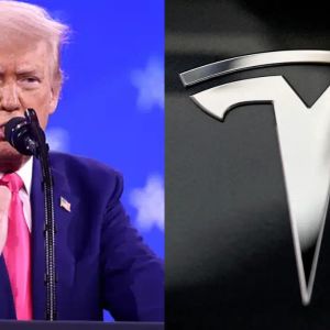 Trump wants to send Tesla attackers to El Salvador prisons in solidarity with Elon