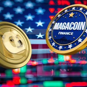 $500 in DOGE or MAGACOIN FINANCE? One Could Hit $50K in 2025