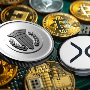 ML Algorithm Picks the Best Ripple (XRP) Replacements to Make $70000 from $700 By Q1 Next Year