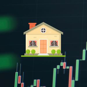 HOUSE token causes buying frenzy, drawing in high-profile whales