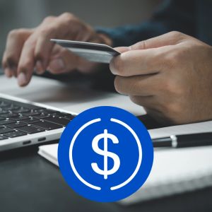 Stablecoins flipped the script to surpass Visa in transaction volume