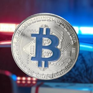 Indian police recover $3,000 for a crypto investment scam victim