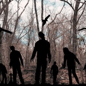 Gala Games to shut down The Walking Dead NFT game after July 31