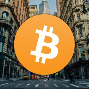 Bitcoin maxis and gold bugs set to battle it out in ETF turf war on Wall Street