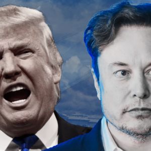Trump and Elon Musk get court order to stop federal layoffs immediately