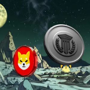 This Alternative Crypto to Shiba Inu Will Skyrocket 80x in 8 Weeks, Priced at $0.025 Only