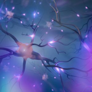 Valve’s Starfish to release a new brain chip this year