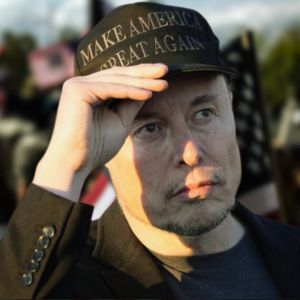 Musk’s DOGE role was “one of the greatest brand destructions”