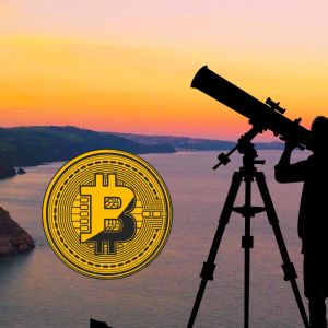 Bitcoin whales on the move: Big liquidations trigger volatility