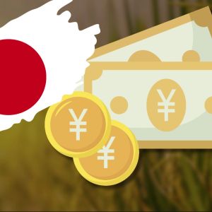 Japan's rice crisis deepens as market giants scoop best grain