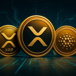 Finding The Next XRP Early: Analysts Highlight 3 Tokens With Parabolic Potential In 2025