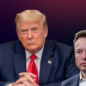 Trump and Musk's feud caught global attention of billionaires