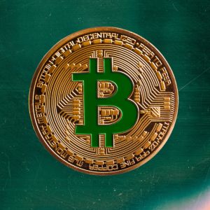 Ethereum's strongest run since US election leads this week's $286M crypto fund inflows