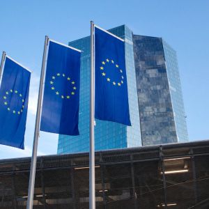 Crypto approaching systemic risk territory, FSB's Knot fires warning
