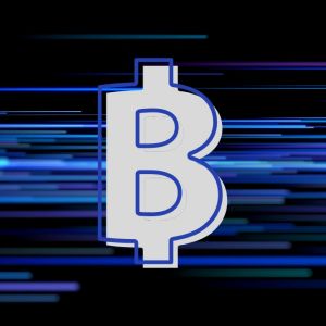 Bitcoin sees the biggest movement into accumulation wallets