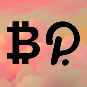 Polkadot community members pitch Bitcoin as treasury stability strategy