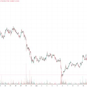 Analysts Pick The 2 Cryptos Most Likely To Mimic The Legendary Dogecoin (DOGE) 2021 Rally