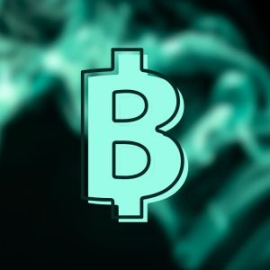 Bitcoin scarcity expected to grow as ancient whales' hoarded stockpile peaks