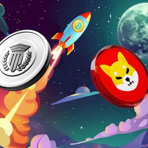 The Crypto Bull Run is Here: Best Altcoins to Invest In