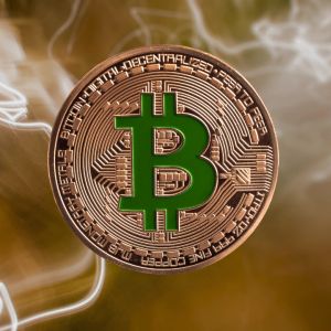 Samson Mow eyes Europe Bitcoin expansion after France invite