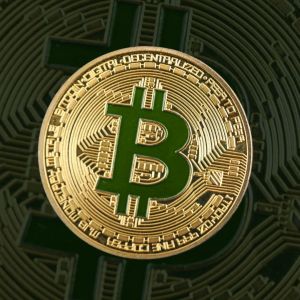 Crypto funds extend inflows streak to 10 weeks, BTC sees $15.1B YTD boom