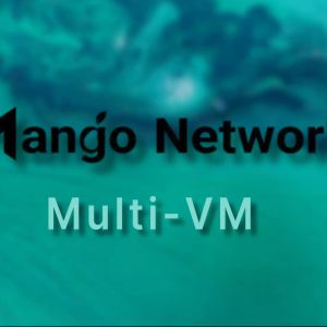 Is Mango’s Multi-VM approach enough to solve fragmented liquidity?