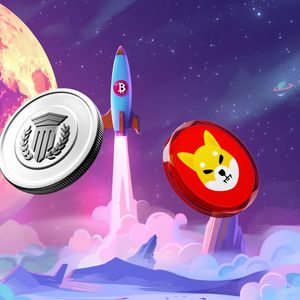Shiba Inu (SHIB) Sees Whale Activity As Analysts Say This DeFi Project Could Be Next to Explode