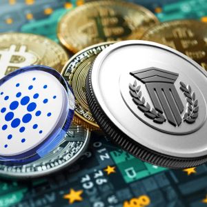2 Low-Risk Tokens if You’re New to Crypto Investing