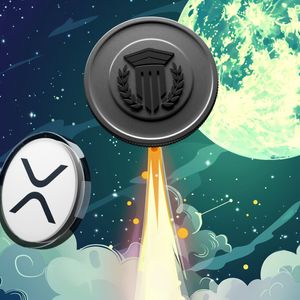 Top Altcoins to Invest in Now: Safe But Profitable Tokens for First-Time Investors This Bull Run