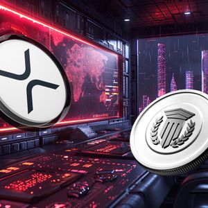 Best Altcoins to Invest in 2025: Top Cryptos Attracting Whale Investors