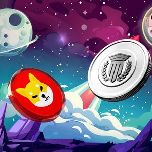 Missed Shiba Inu (SHIB)? Buy This Top Crypto in 2025