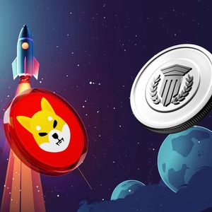 Analysts Name the 2 Best Cryptocurrencies to Buy and Hold for Maximum Profits in 2025