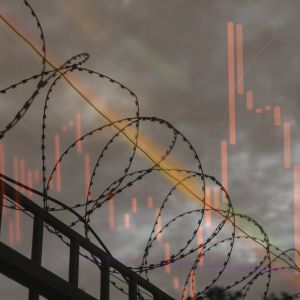 Founder of the defunct AEX exchange released on bail in Thailand