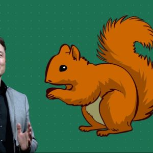 Elon Musk’s post criticizing the justice system drew attention to Solana’s PNUT token
