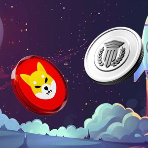 Shiba Inu Poised for Action: Can SHIB Overtake DOGE, or Will This New Crypto Do It Sooner?