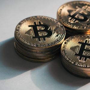 Animoca Brands, DDC Enterprise take first steps toward $100M BTC treasury plan