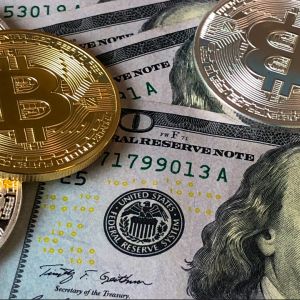 Data highlights Bitcoin holders have negligible impact on Bitcoin market price