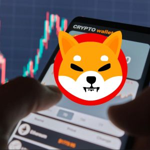 Shiba Inu is working on a quantum-resistant Shib Identity