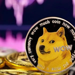 Bit Origin Ltd announces plans to establish Dogecoin treasury backed by $500 million