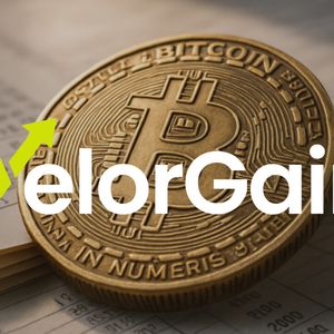 VelorGain: a modern approach to trading and its capabilities
