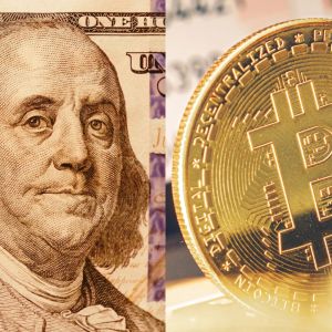 Why betting on Bitcoin as the dollar collapses could wreck small investors
