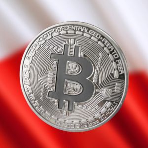 Poland admits one in five of Poles have invested in crypto during Bitcoin bill debate