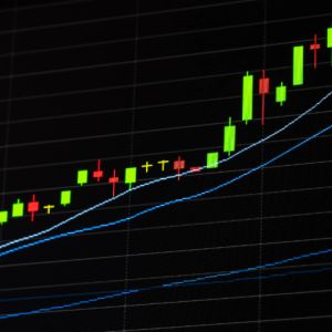 VINE token rallies after Elon Musk teased Vine reboot with AI integration