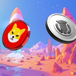 Shiba Inu Price Prediction: Will SHIB Hit $0.000050 as Token Burns Skyrocket While Mutuum Finance (MUTM) Soars to New Heights