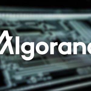 Algorand Foundation releases its roadmap for 2025 and 2026