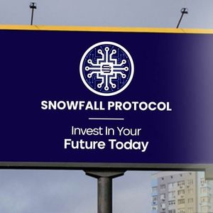 Snowfall protocol (SNW) presents a better future than Binance Coin (BNB) and Cardano (ADA)!
